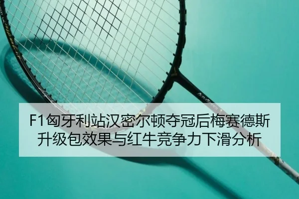 xiong-ya-li-zhan-han-mi-er-dun-duo-guan-hou-mei-sai-de-si-sheng-ji-bao-xiao-guo-yu-hong-niu-jing-zheng-li-xia-hua-fen-xi-2-668.jpg
